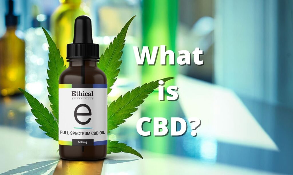 What Is CBD? Everything You Want To Know - Ethical Botanicals