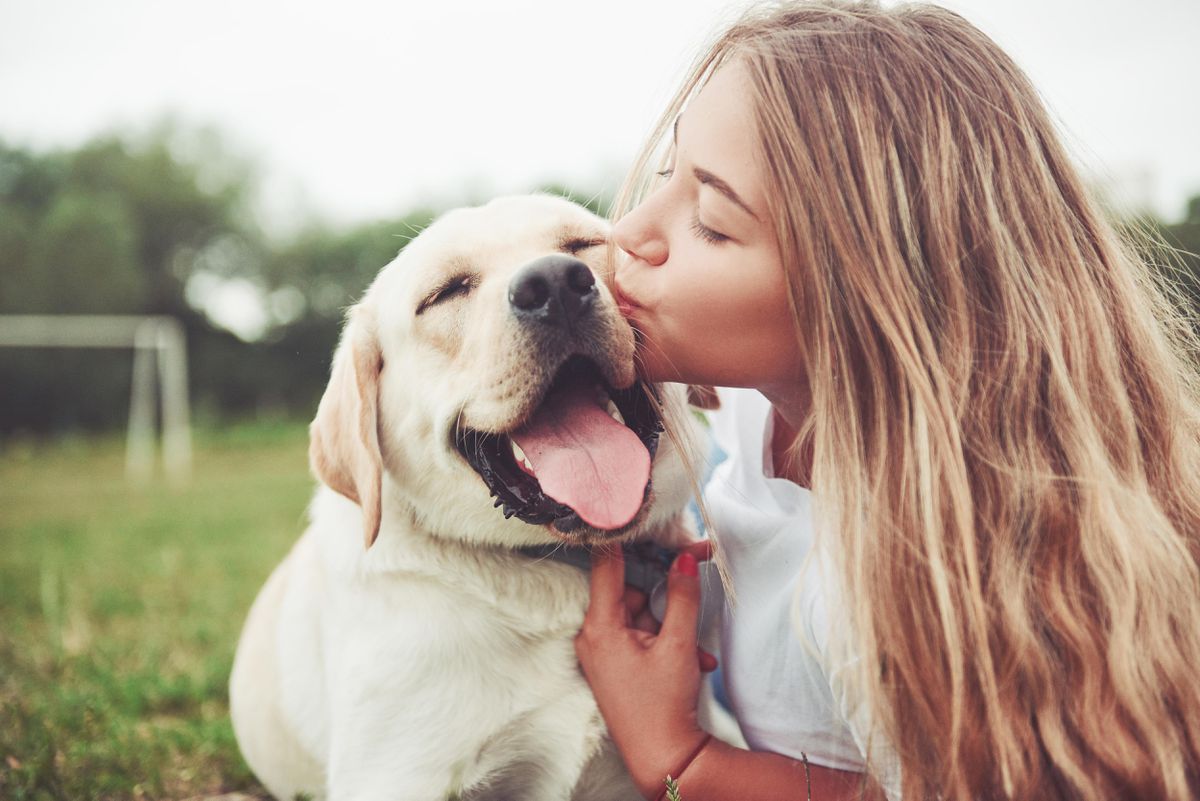 advertorial, implies CBD has improved lives of dog and owner