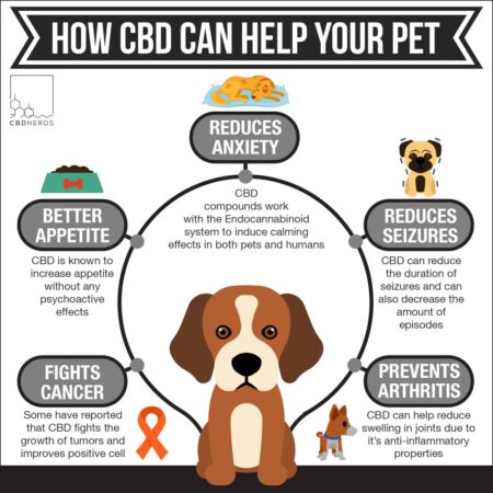 Buy CBD Oil For Pets - Ethical Botanicals